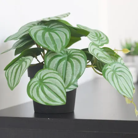 Lägenhet Coeur Des Moissons, Centre Avec Parking Prive