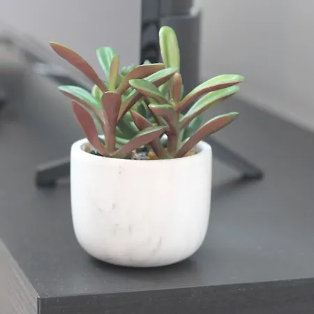 Coeur Des Moissons, Centre Avec Parking Prive Appartement