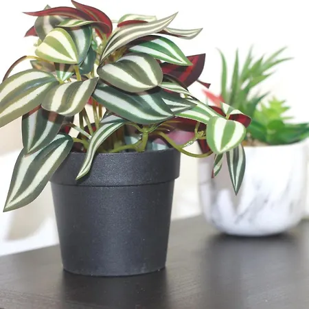 Cœur Des Moissons, Centre Avec Parking Privé Appartamento