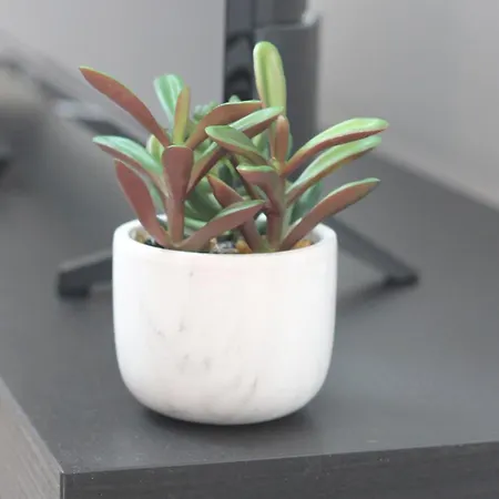 Coeur Des Moissons, Centre Avec Parking Prive Appartement Reims