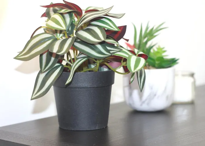 Coeur Des Moissons, Centre Avec Parking Prive Lägenhet