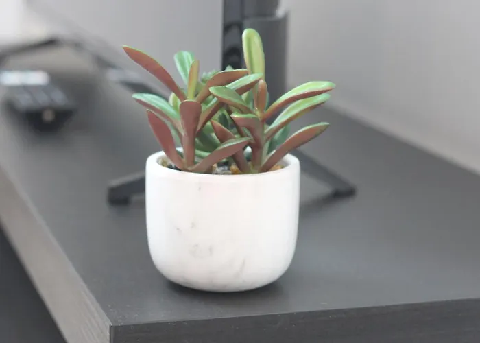 Coeur Des Moissons, Centre Avec Parking Prive Lägenhet Reims